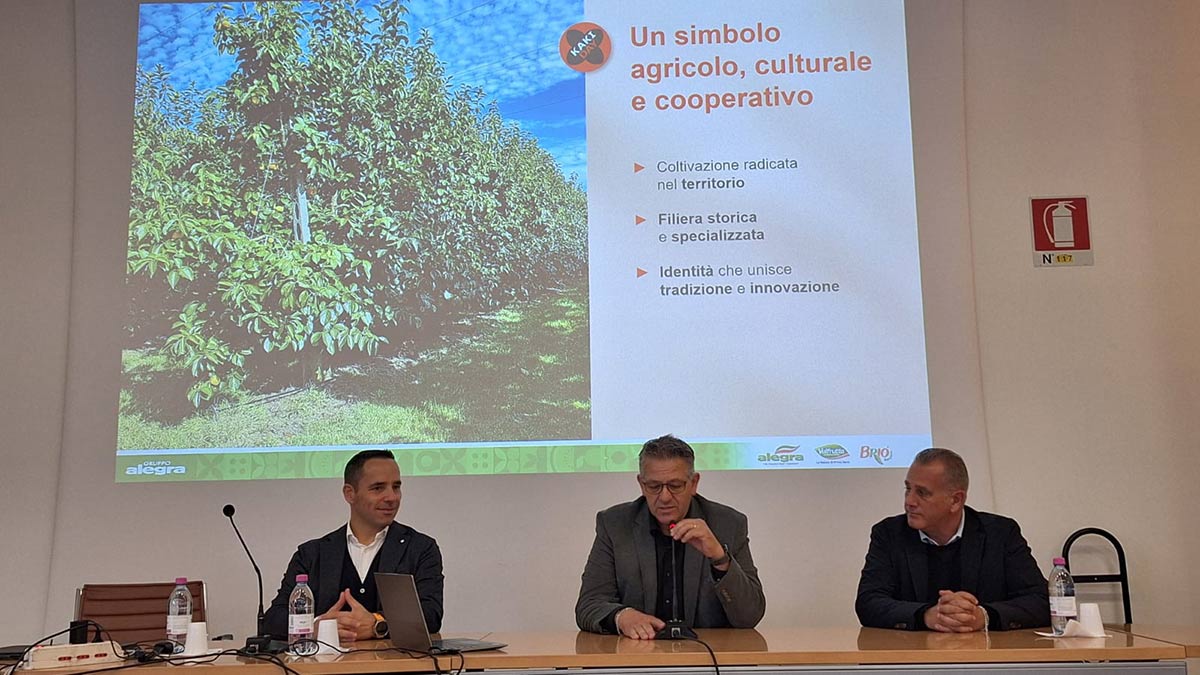 Da sinistra, Enrico Bucchi (Direttore generale Valfrutta Fresco), Aristide Castellari (presidente Agrintesa) e Cristian Moretti (Direttore generale Agrintesa)